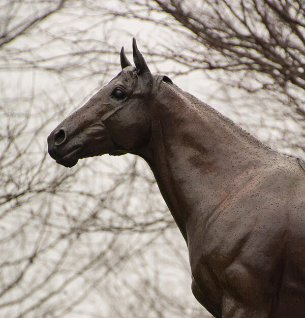 bronze horse statue