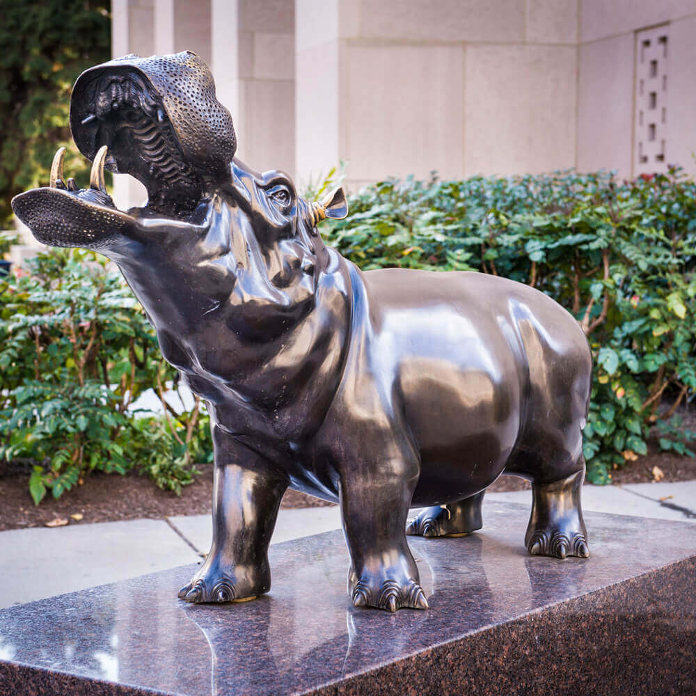 Bronze Hippo Statue