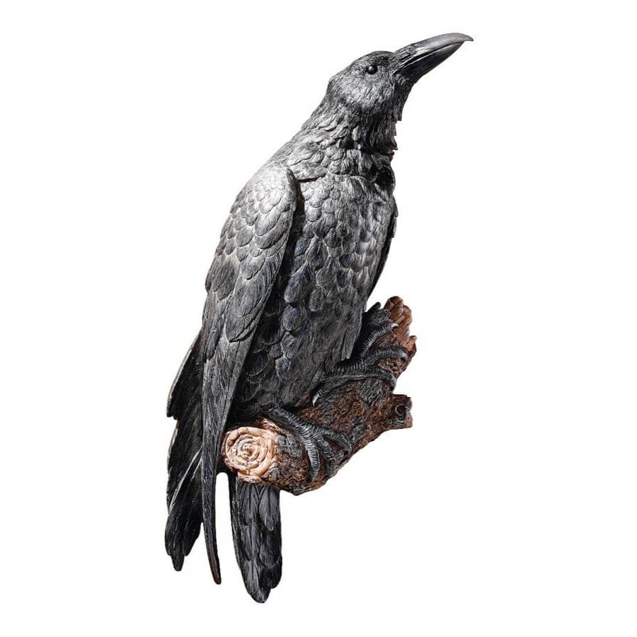 crow wall decor