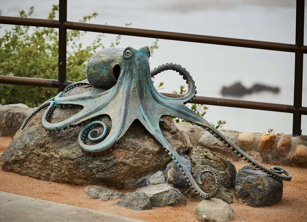 octopus sculpture