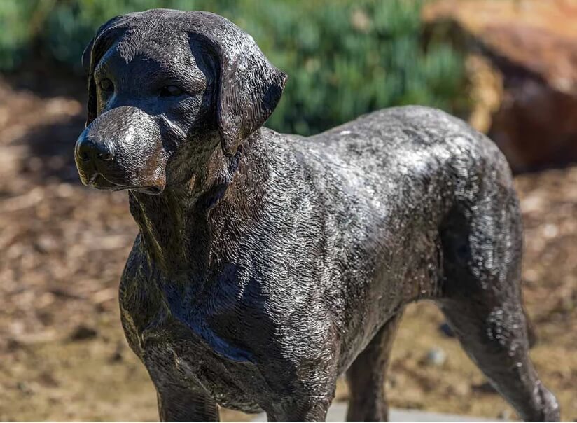 brass dog statue