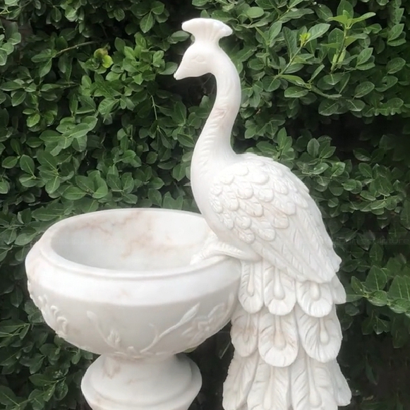 peacock flower pot