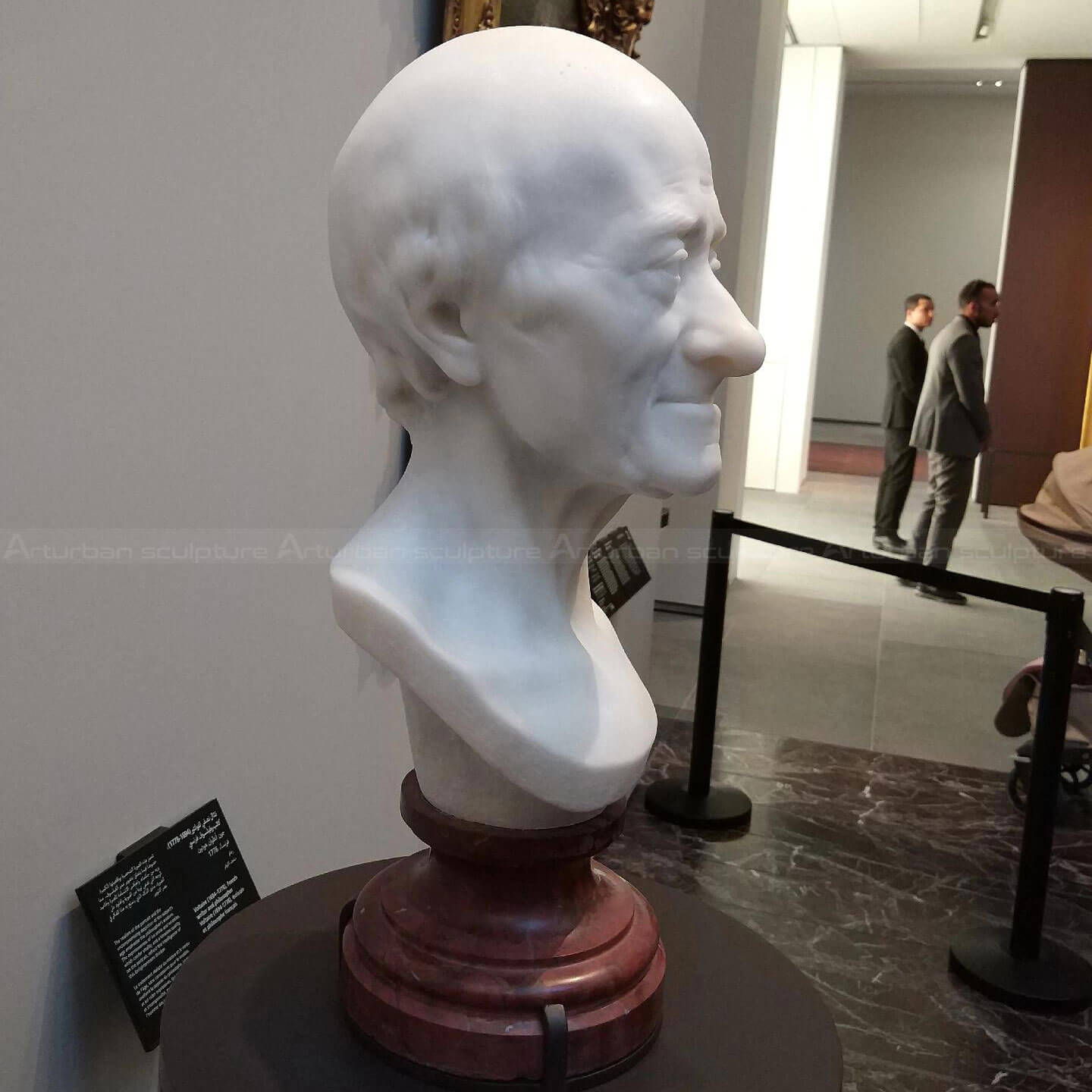 Voltaire Bust