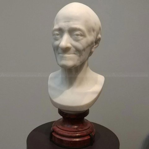 Voltaire Bust