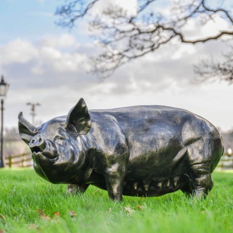 Garden Pig Sculpture