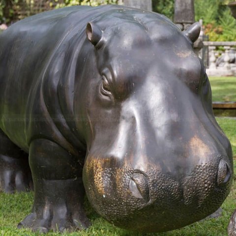 Hippopotamus Sculpture