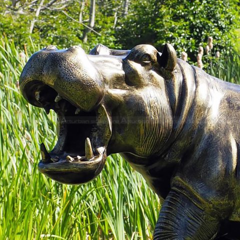 Hippo with Mouth Open Sculpture