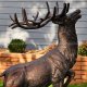 Stag Sculpture for Garden