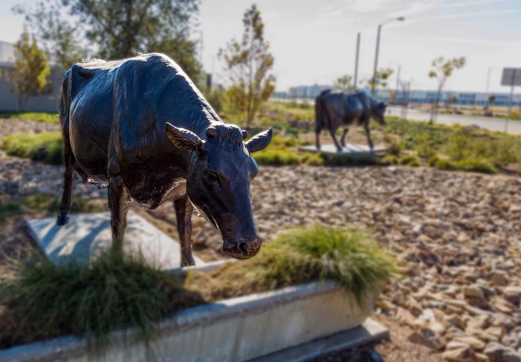 cow eating grass statue