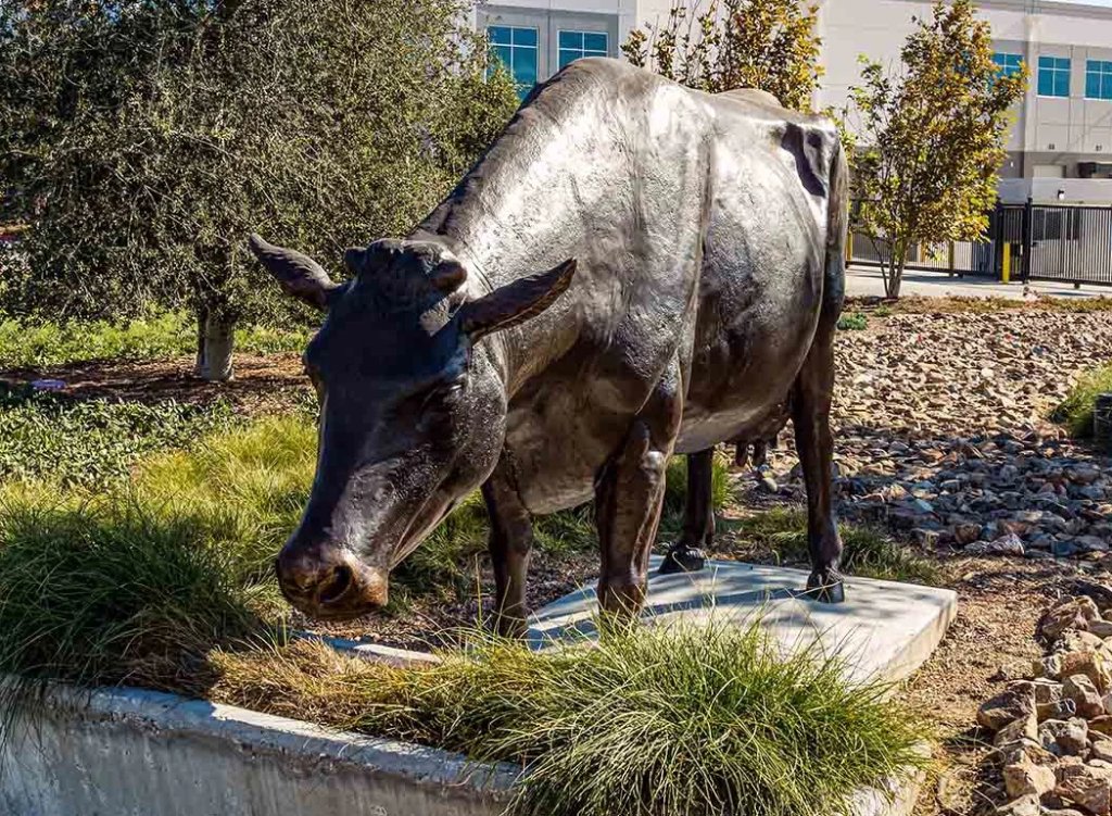 cow eating grass statue