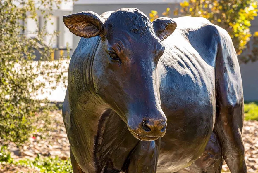 cow statue