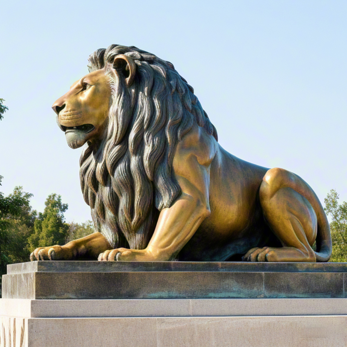 Bronze Lion Statue for Sale