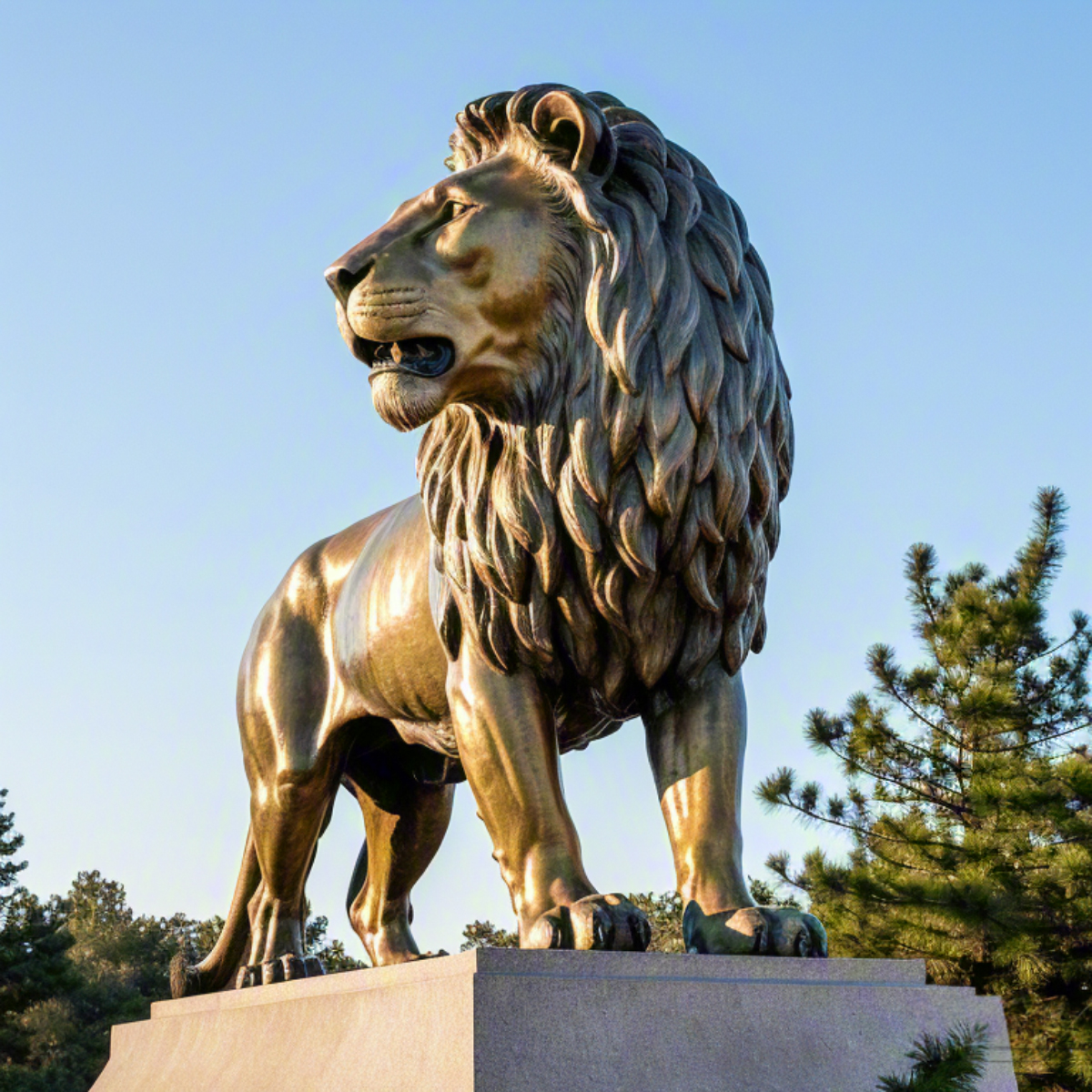 Life Size Bronze Lion Statue