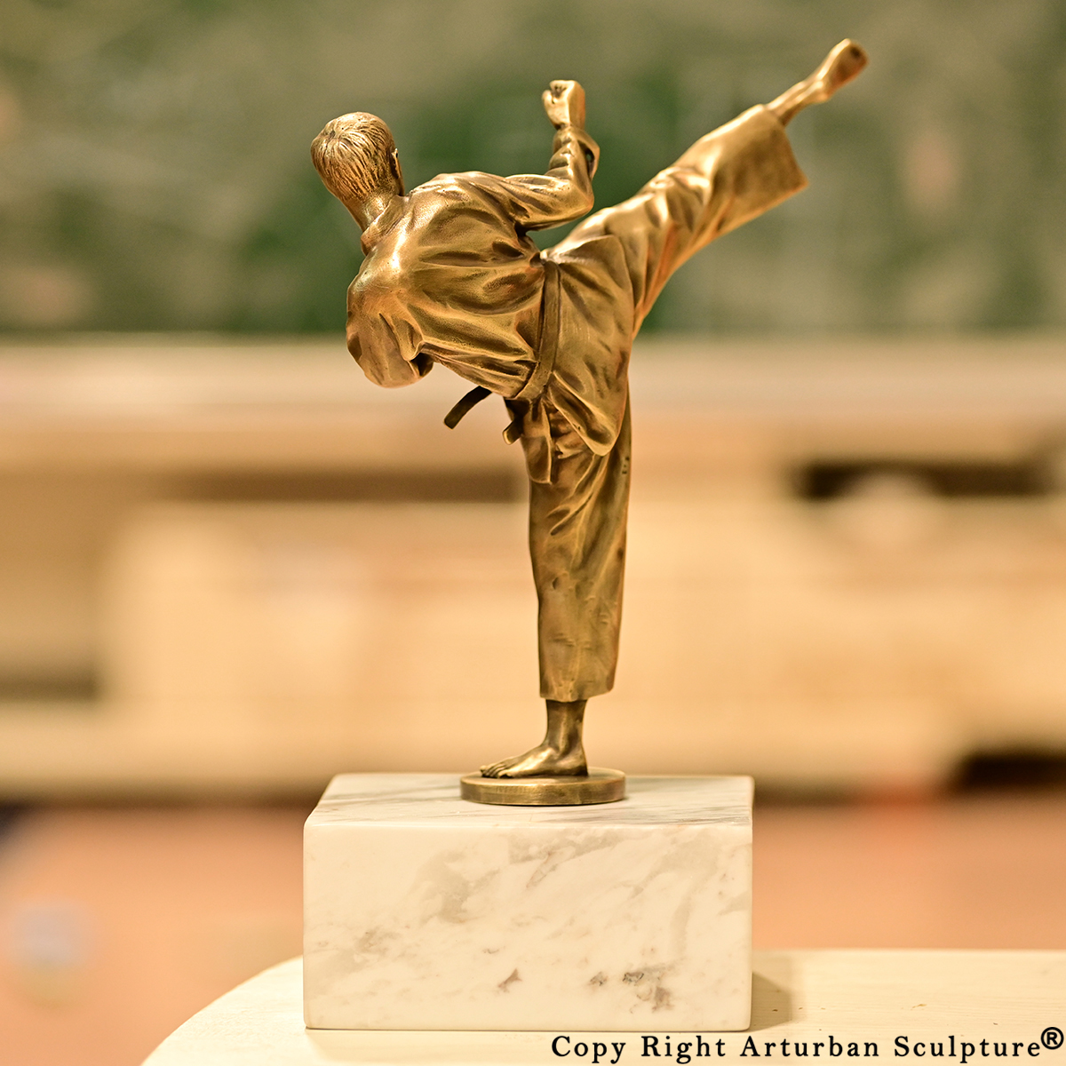 Martial Art Karate Man Bronze Statue