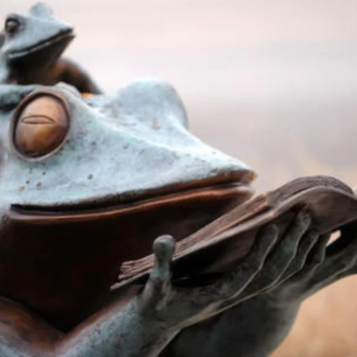 Frog Reading Statue