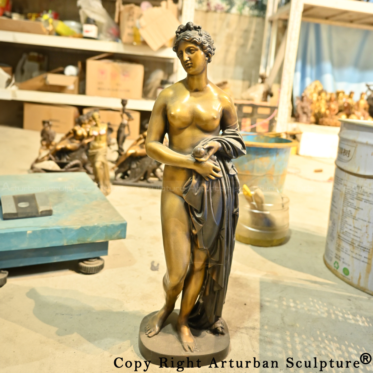 Front view of bronze Venus Venus with the Apple standing in contrapposto poseont view of bronze Venus Venus with the Apple standing in contrapposto pose