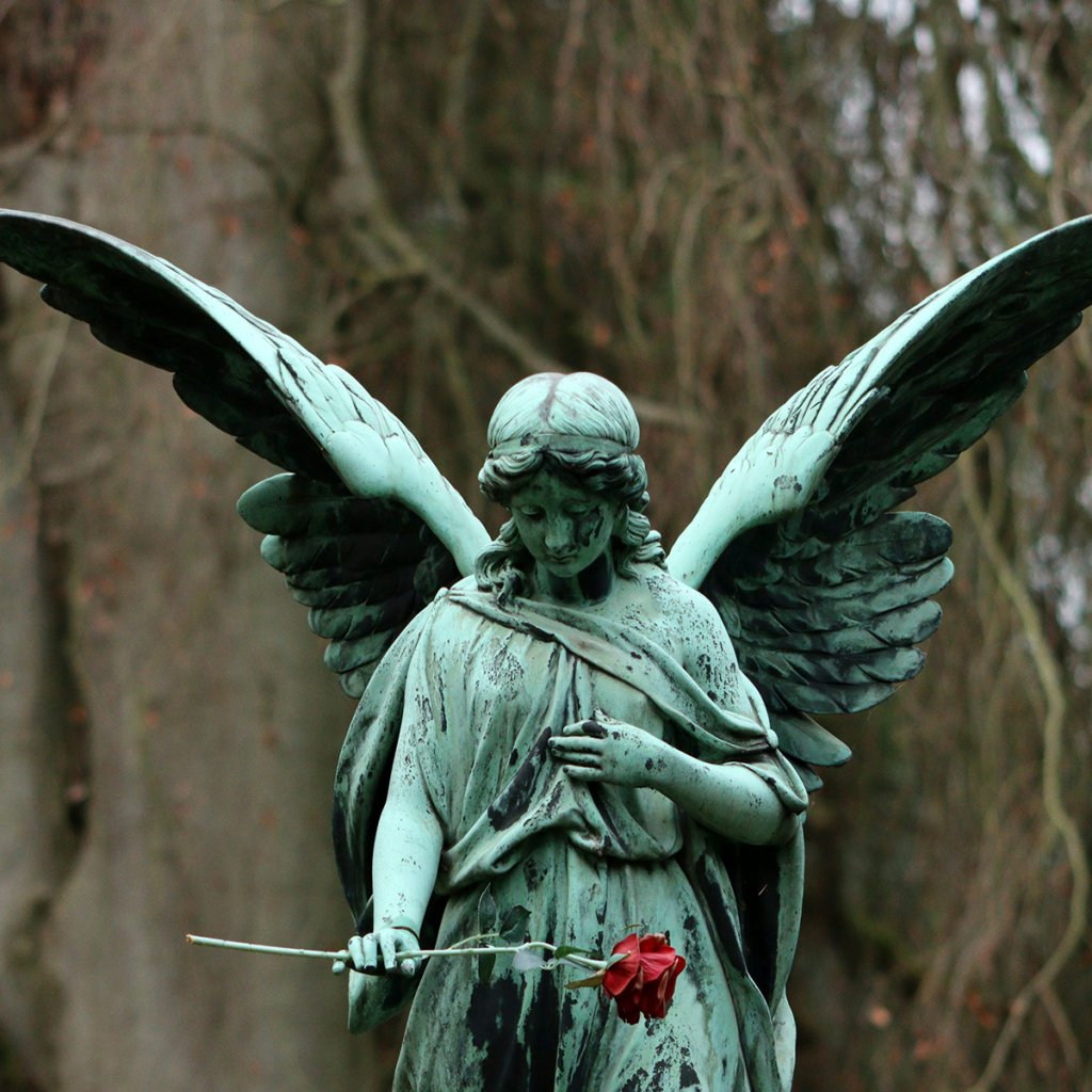 an angel statue with greek patina holding a rose