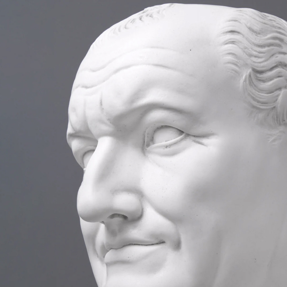 Close-up detail of marble bust of Emperor Vespasian
