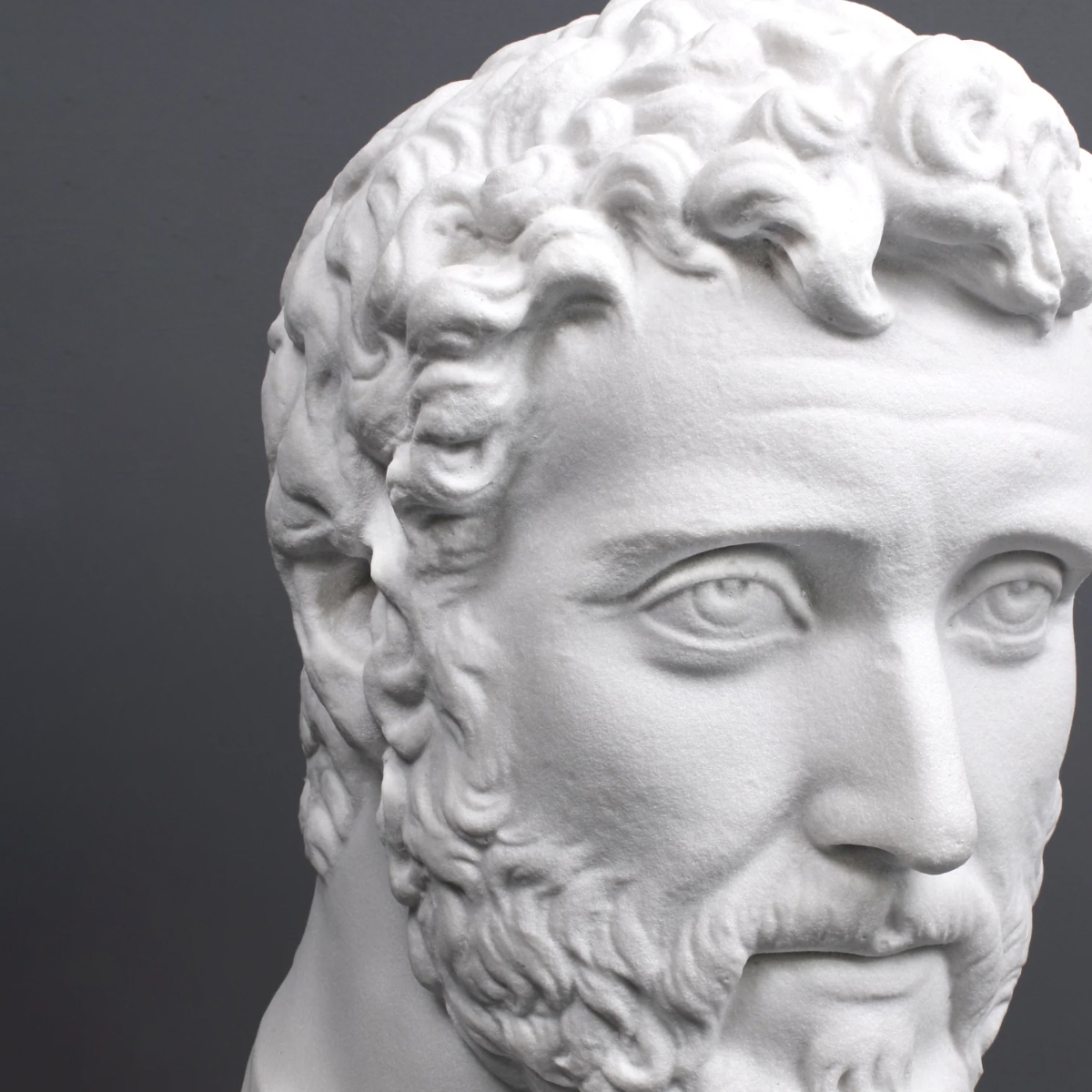 Close-up of Antoninus Pius Bust emphasizing the detailed curls