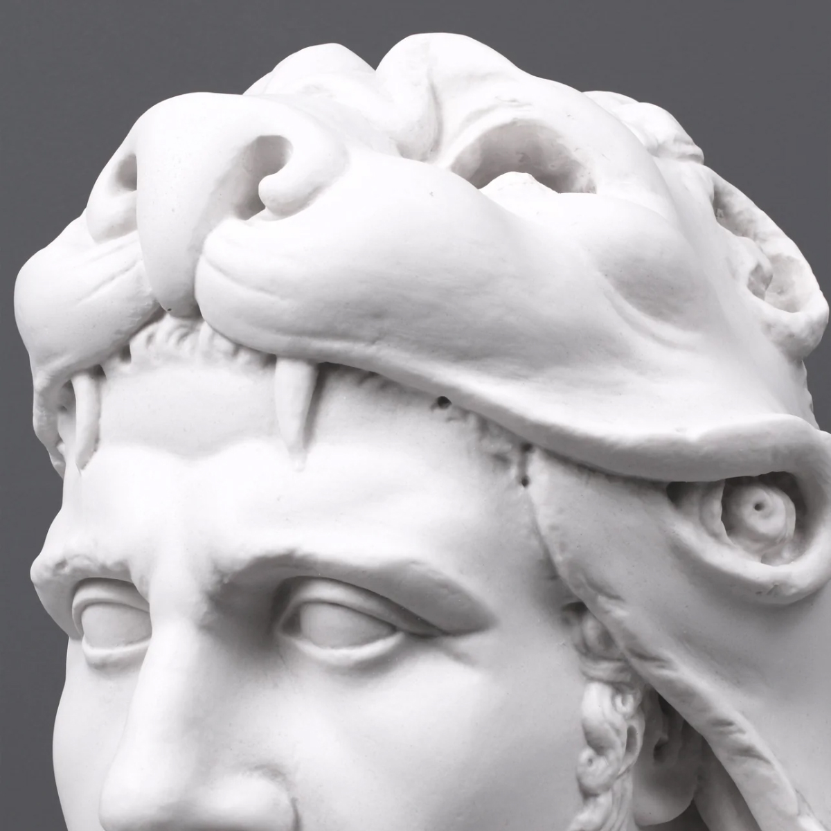 Close-up of Mithridates VI Bust showing lion head details