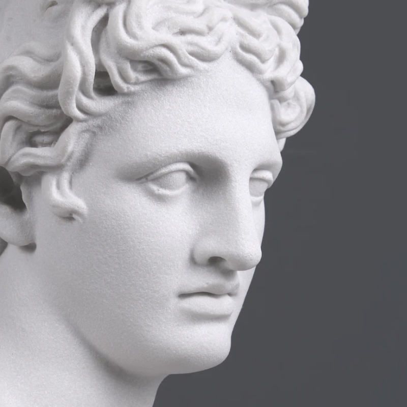 Close-up of the Apollo Belvedere Head marble sculpture