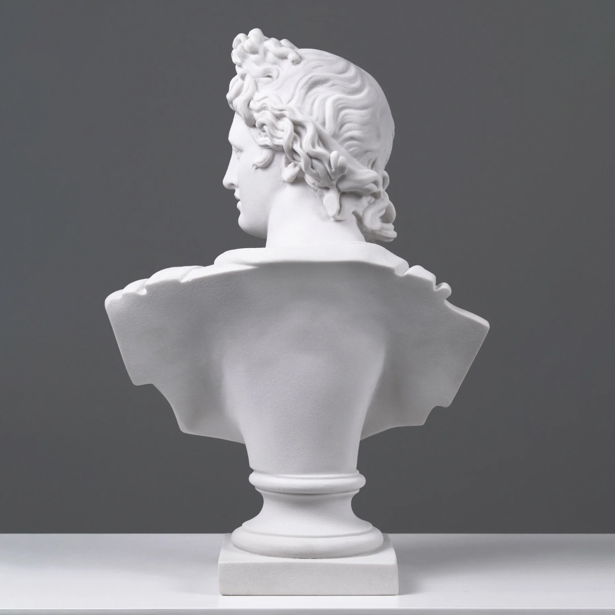 Rear view of the Apollo Belvedere Head marble bust