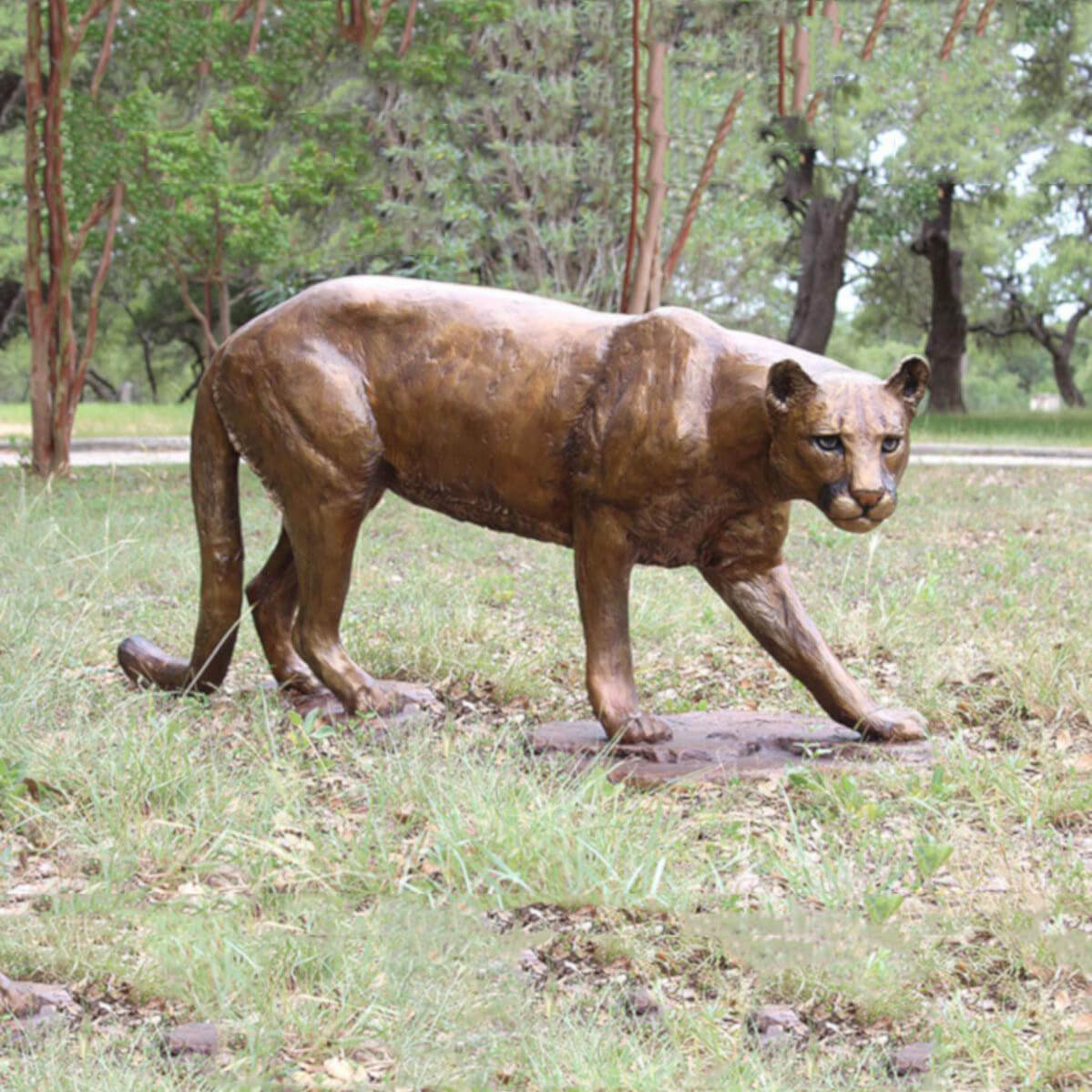 bronze Bronze Mountain Lion Statue walking pose
