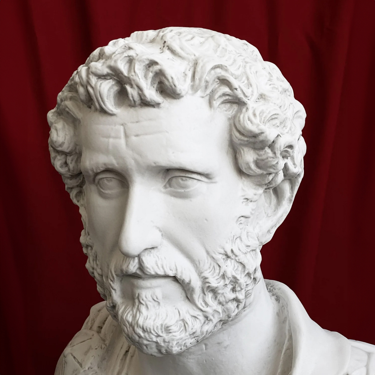 close up view of Antoninus Pius' marble bust