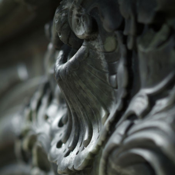 Artistic macro view of shell detail from green Marble Mantel for Fireplace
