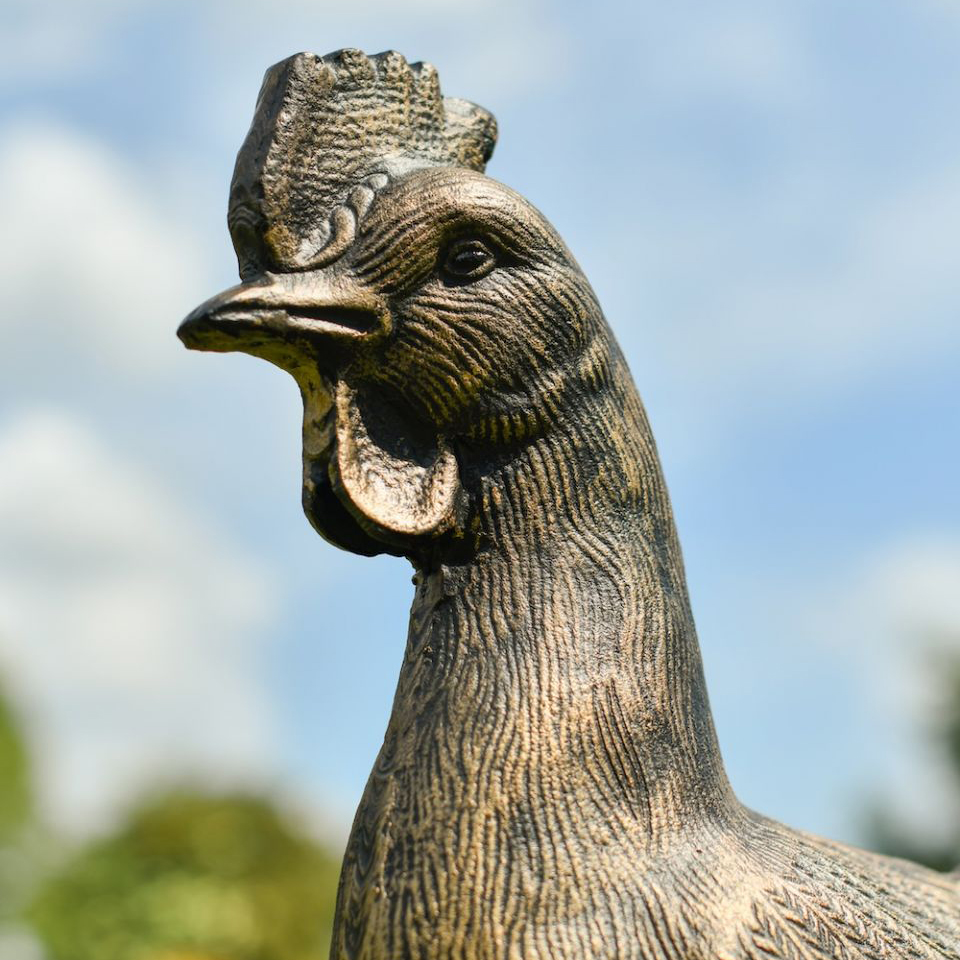 bronze Rooster Yard Statue head detail