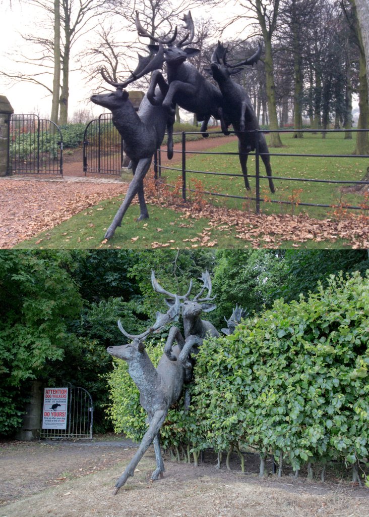 Bronze deer sculptures leaping over a fence and hedge
