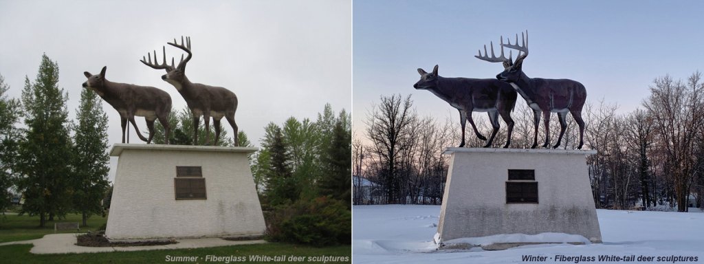 Fiberglass white-tail deer sculptures in summer and winter