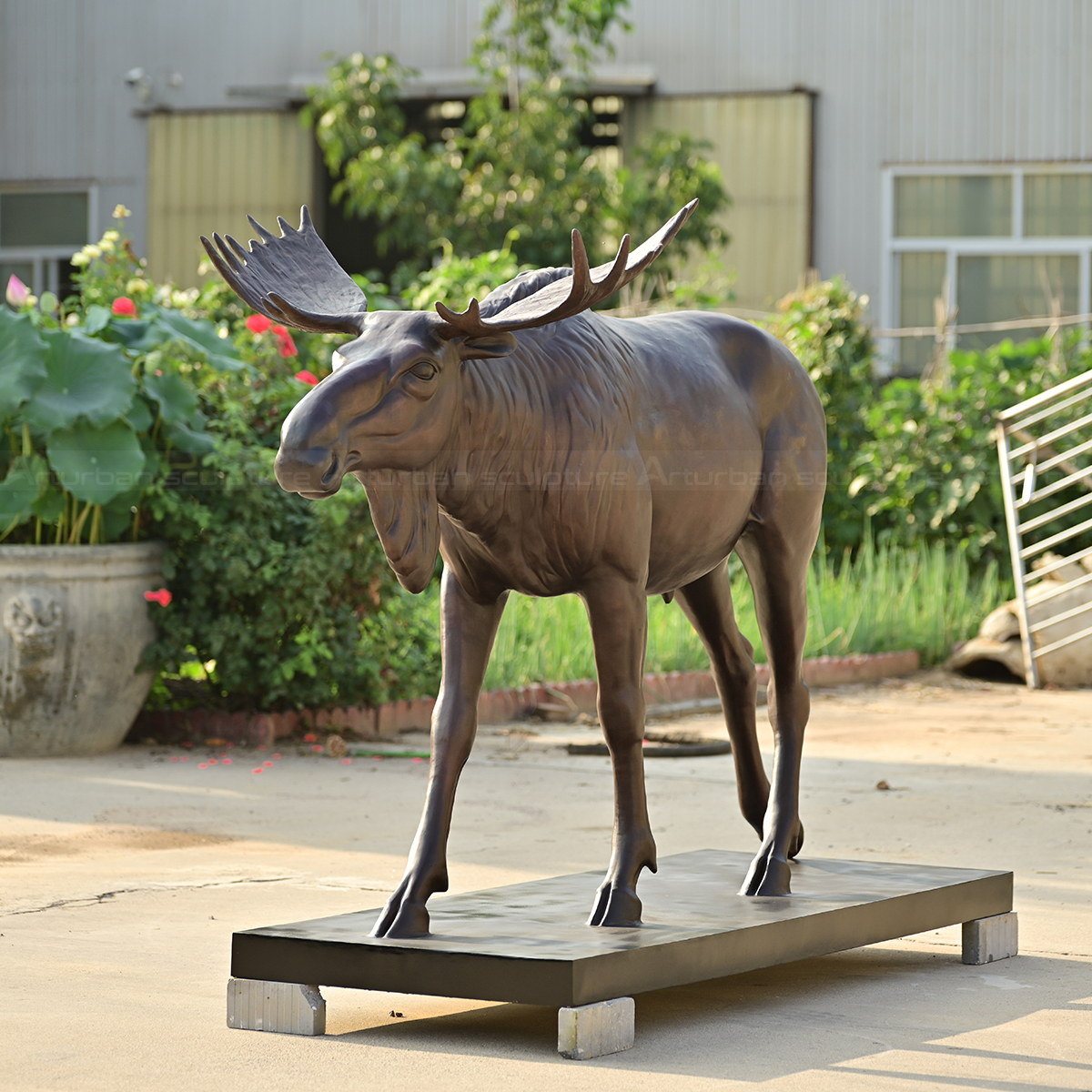 bronze moose statue outdoor