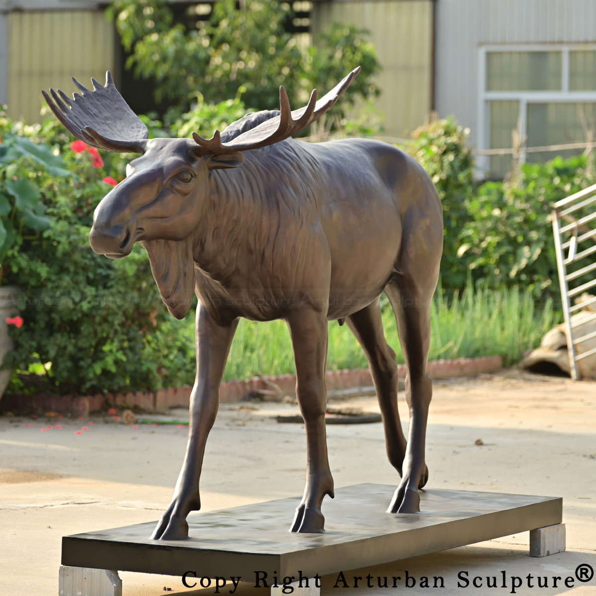 0-Bronze Moose Garden Statue with lifelike details