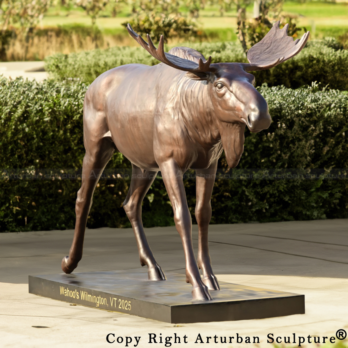 1-A life-size bronze Metal Moose Yard Sculpture standing outdoor