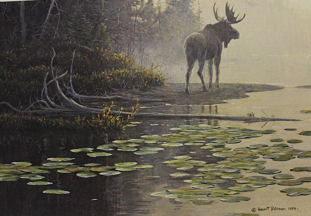 Bull-Moose-at-Waters-Edge-artwork-open-edition-posters-prints-for-sale-signed-by-wildlife-artist-sir-Robert-Bateman