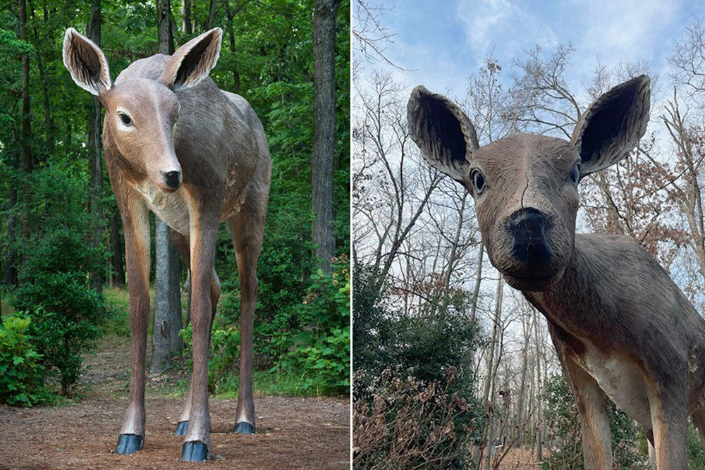 fiberglass deer sculpture, comparison of intact surface and visible cracking over time