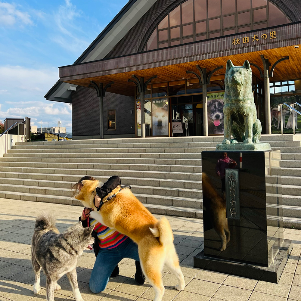 Hachiko Statue at Akita Dog Visitor Center