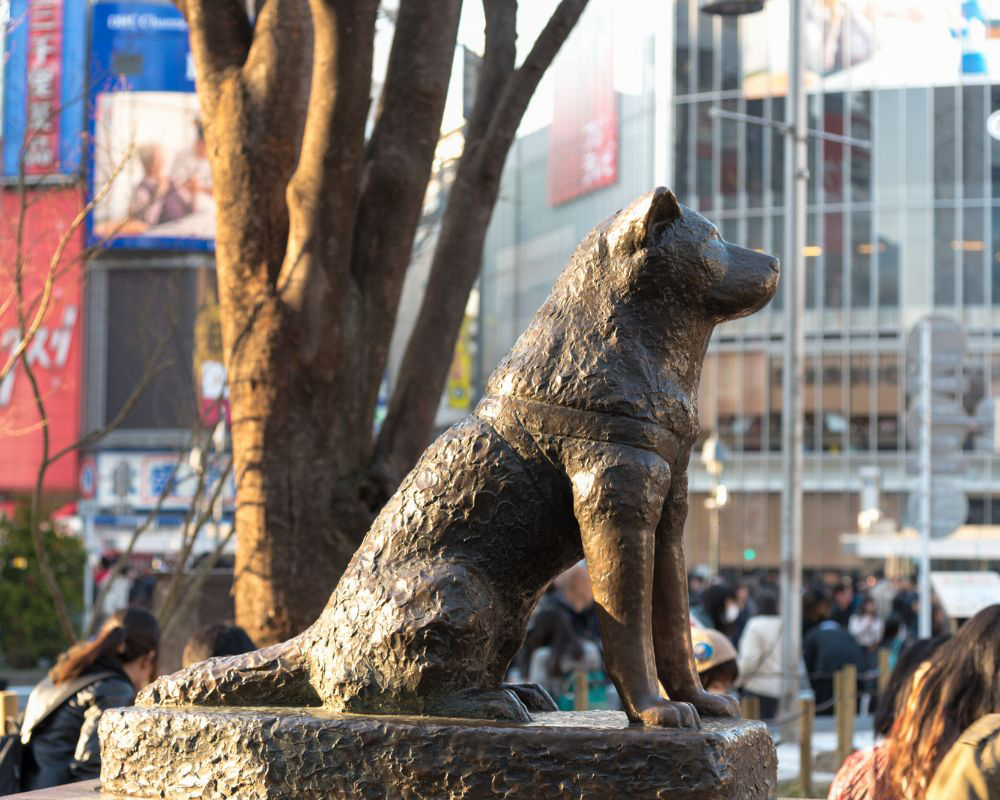 Hachiko-Statue-in-Shibuya-Tokyo