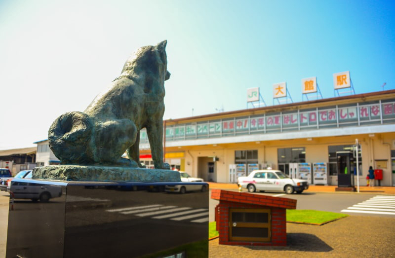 Hachiko-statue-in-front-of-Odate-Station-before-it-was-moved