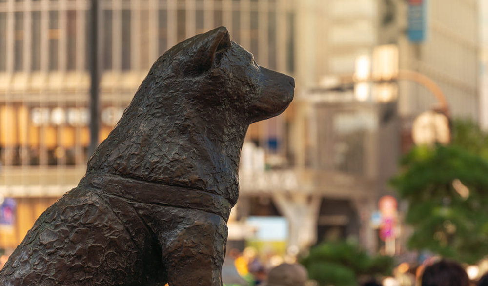Hachiko-statue-side