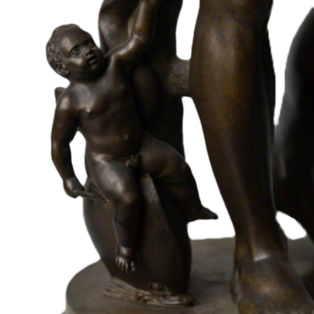 base details of cupid ride dolphin