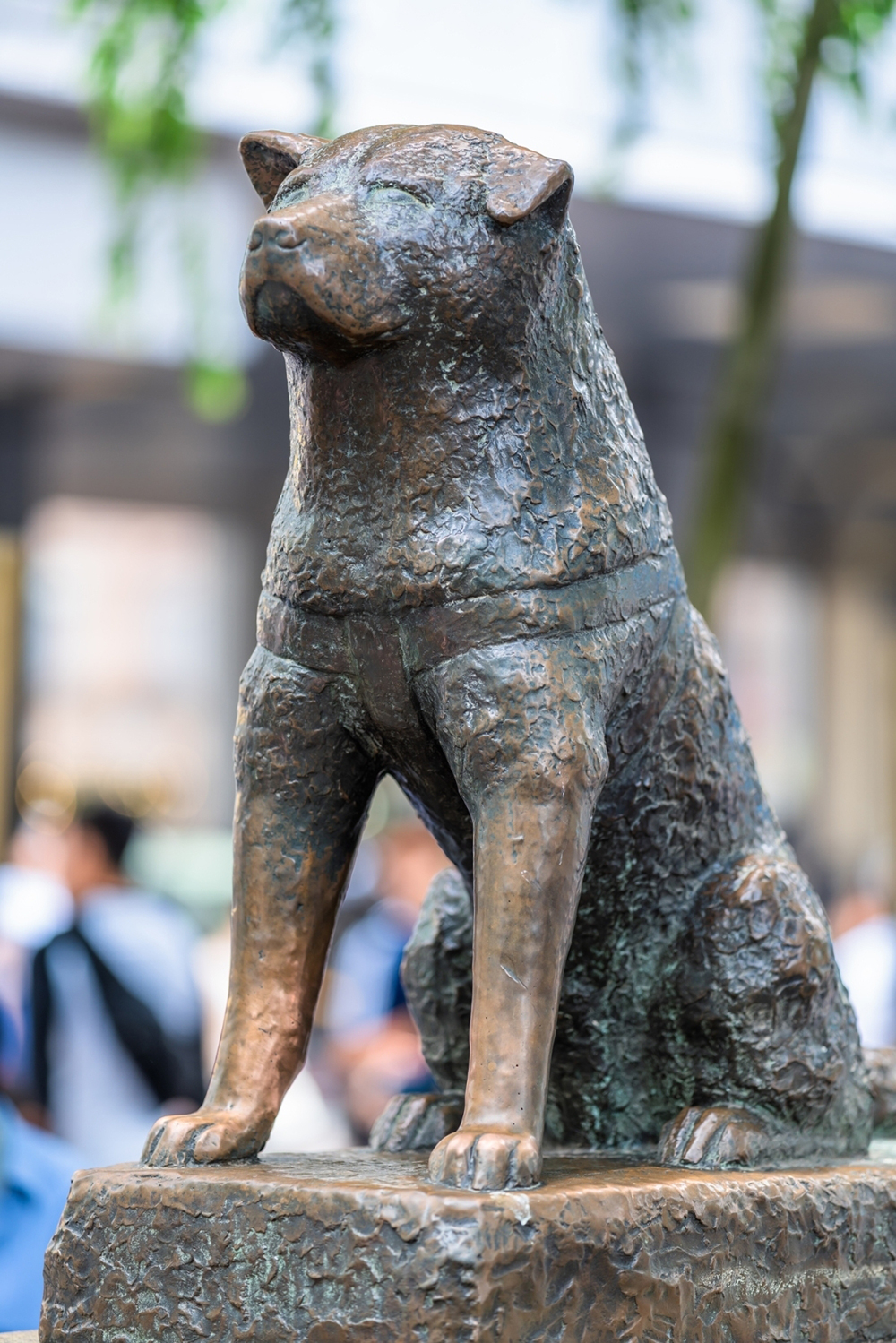 hachiko-statue-at-japan