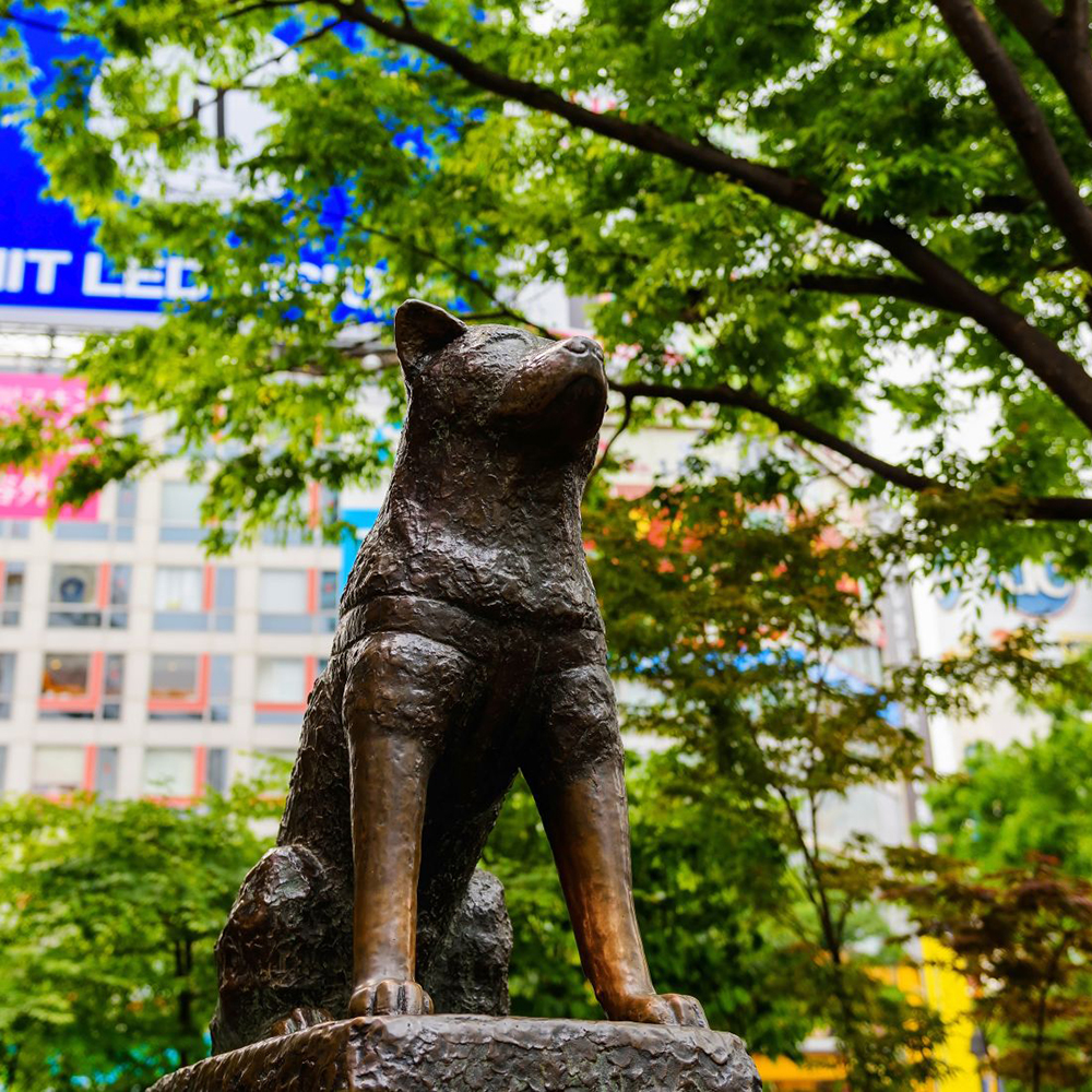 hachiko-statue