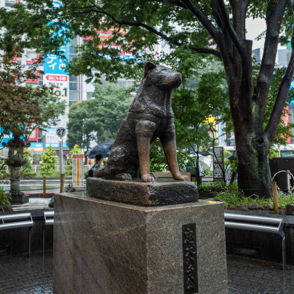 hatchiko statue