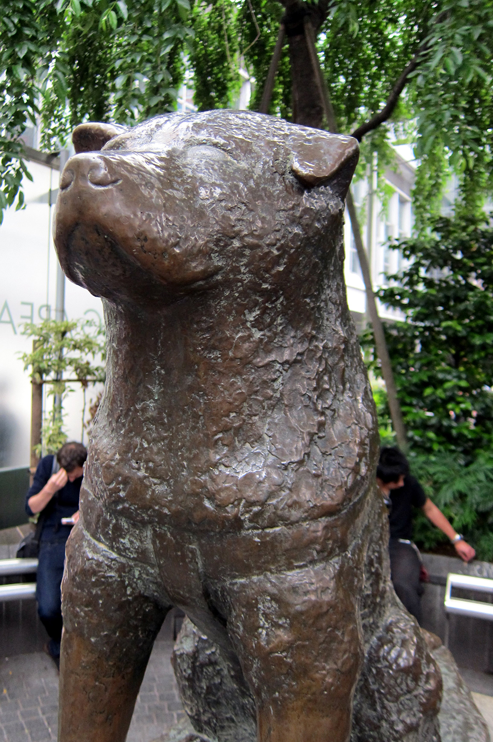 up-body-of-hachiko-statue