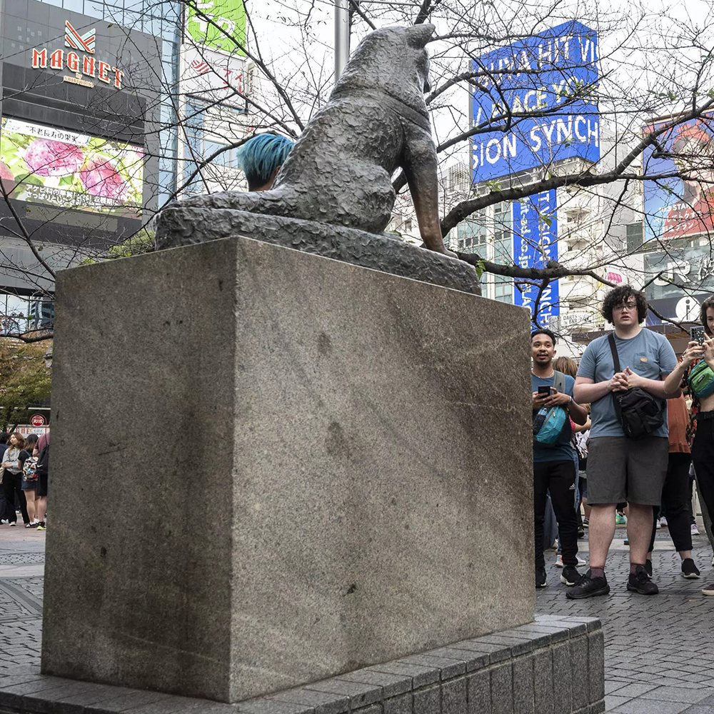 visitors-with-hachiko-statue