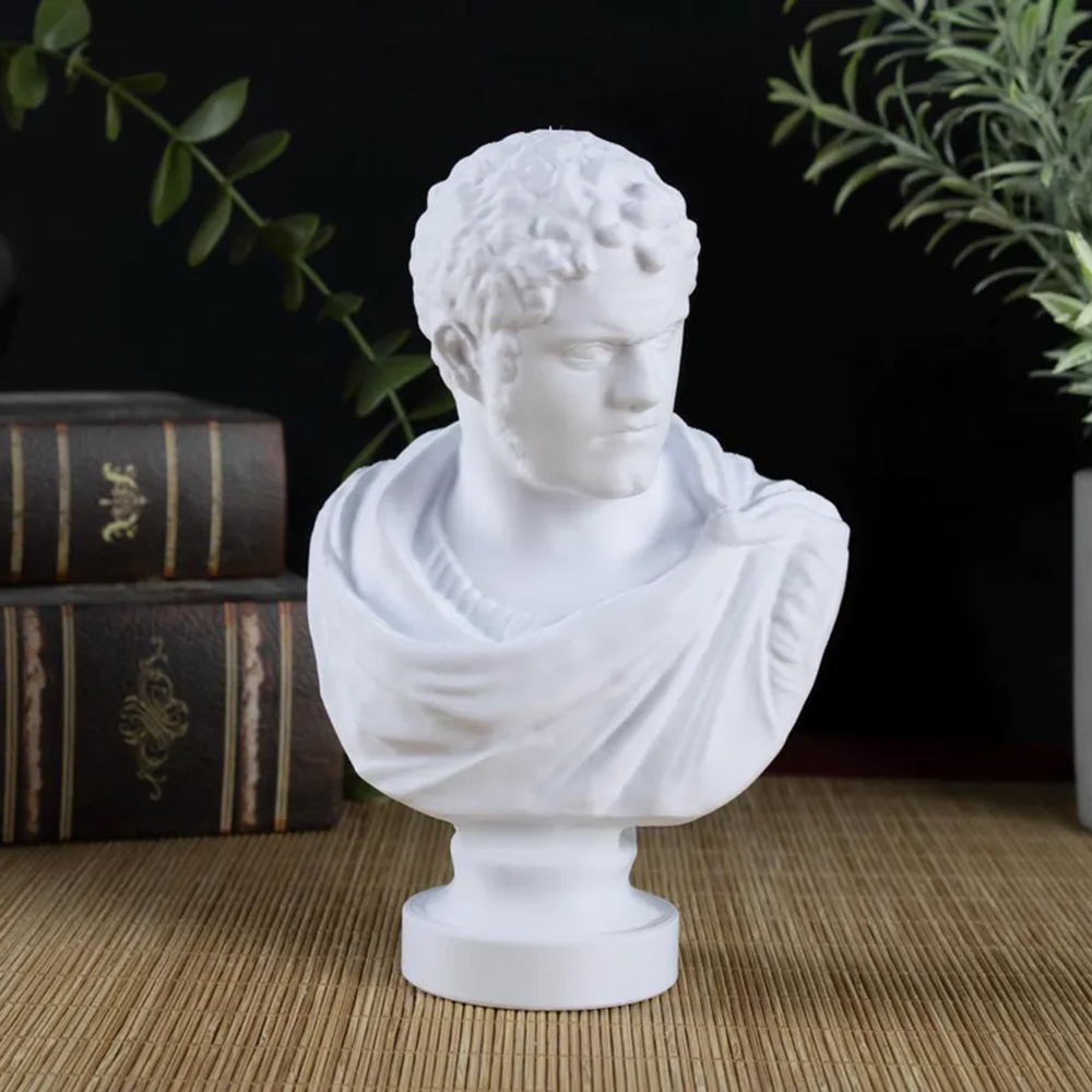 Marble Bust of Caracalla displayed for study room