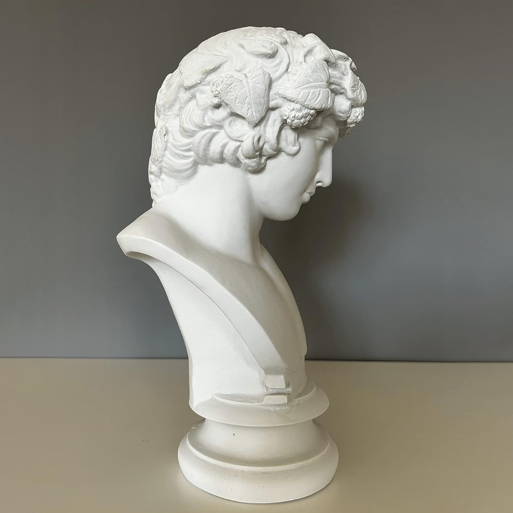 Side view of marble Bacchus Bust