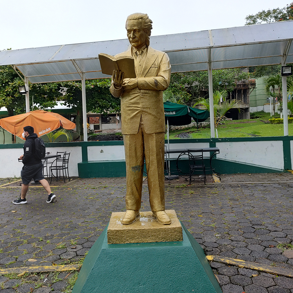 golden Einstein statue holding book